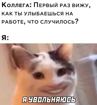 Смешная картинка №656821 работа