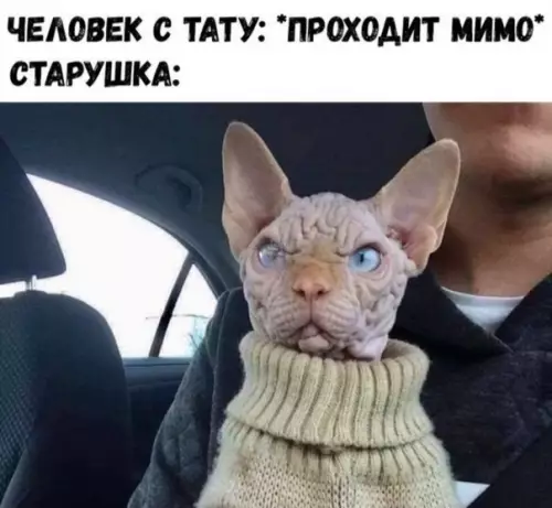 Смешная картинка №371013 Проститутки-накарманы!