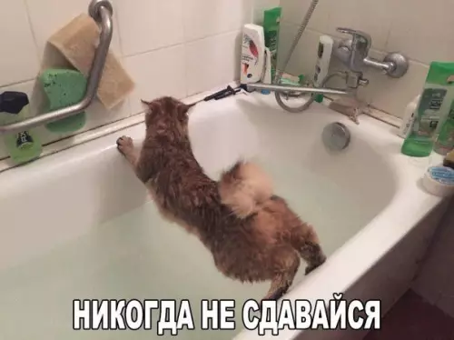 Смешная картинка №442429