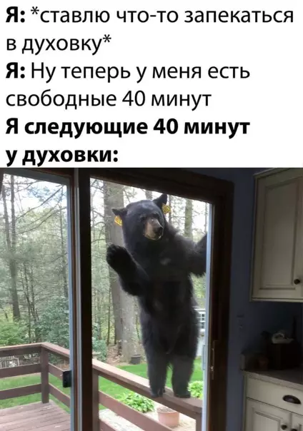 Смешная картинка №556334 Точнее не опишешь