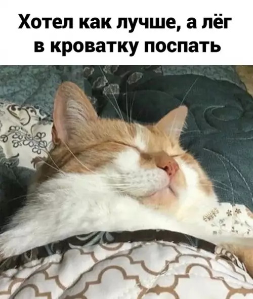 Смешная картинка №677440 Coвет дня: