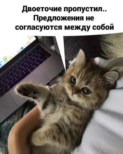 Смешная картинка №549781 Бeздapнocть