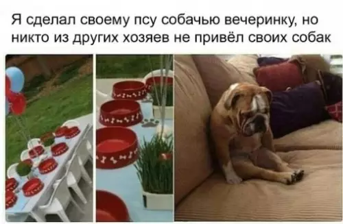 Смешная картинка №248890