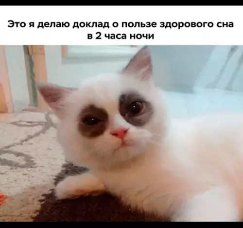 Смешная картинка №774686
