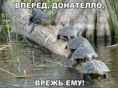 Смешная картинка №208881