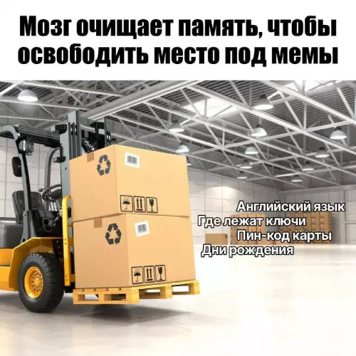 Твой мозг работает именно так 😂 - Мозг очищает память, чтобы освободить место под мемы. Английский язык,