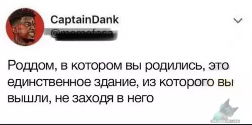 Смешная картинка №322220