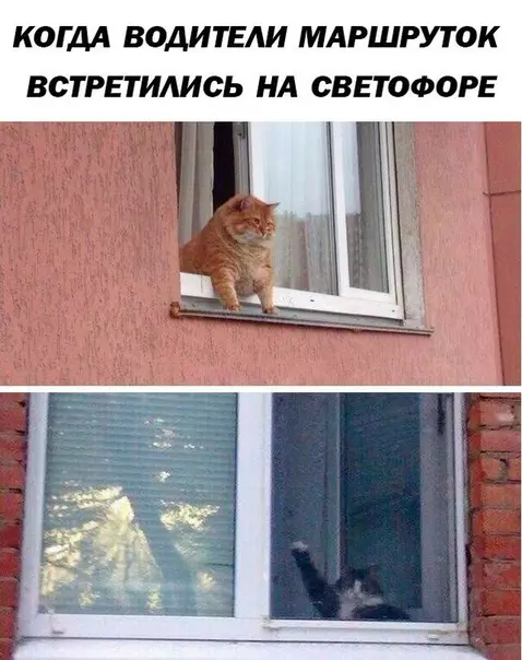 Смешная картинка №305988