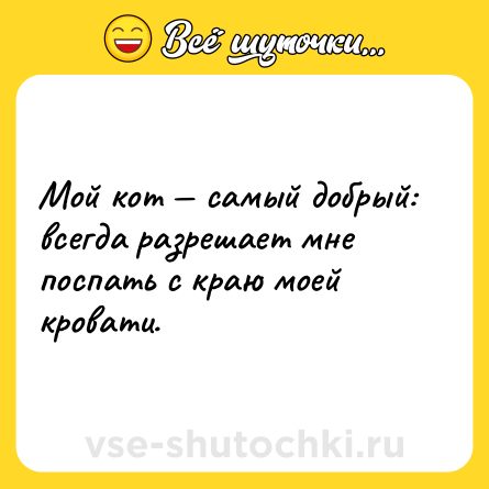 Шутка: Мой кот — самый добрый: всегда разрешает мне поспать с краю моей кровати.