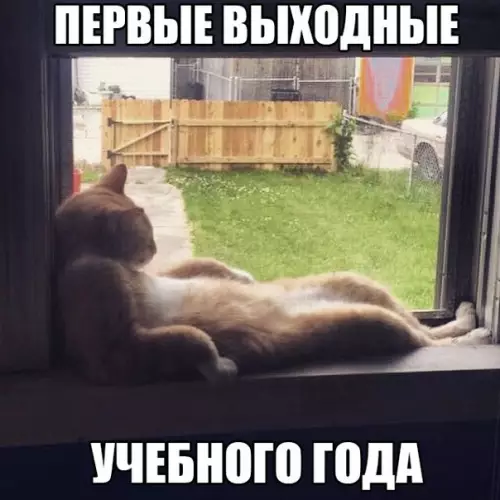Смешная картинка №205753