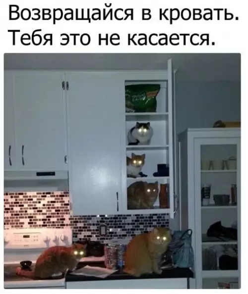 Смешная картинка №208536