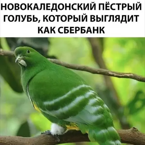 Смешная картинка №786240