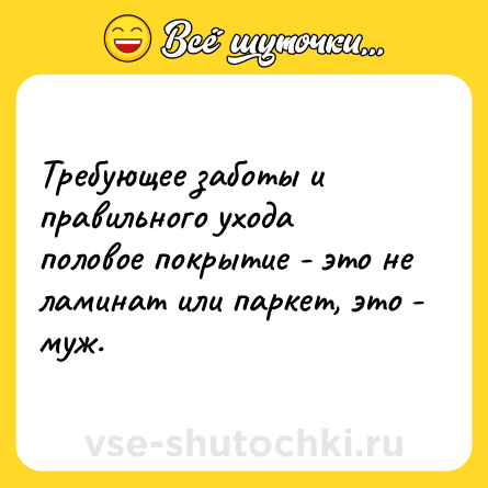 Шутка: Требующее заботы и правильного ухода половое покрытие - это не ламинат или паркет, это - муж.
