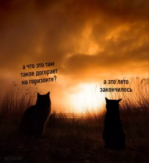 Смешная картинка №516356 Вот и всё