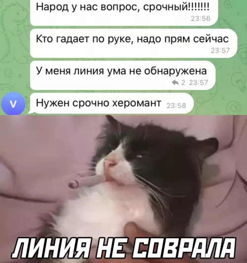 Смешная картинка №644337