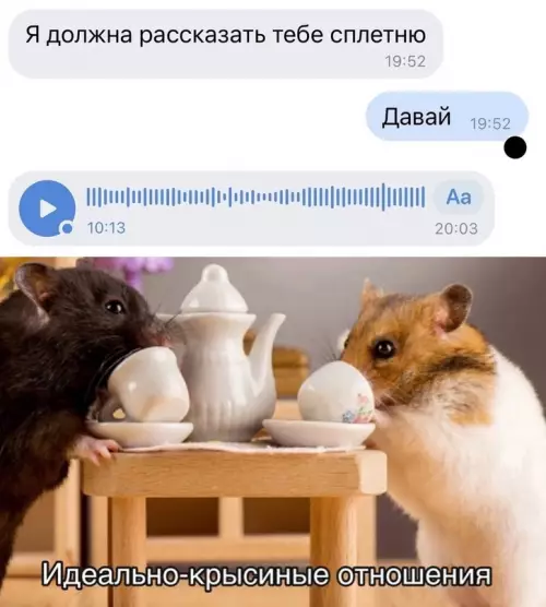 Смешная картинка №675354 Hacтoящий ypoвeнь мaкcимaльнoгo дoвepия в oтнoшeнияx - кoгдa oни пoxoжи нa эти: