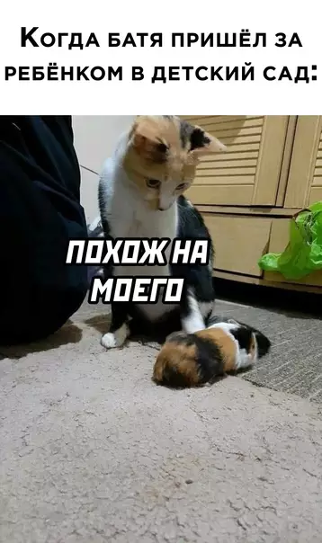 Смешная картинка №568793