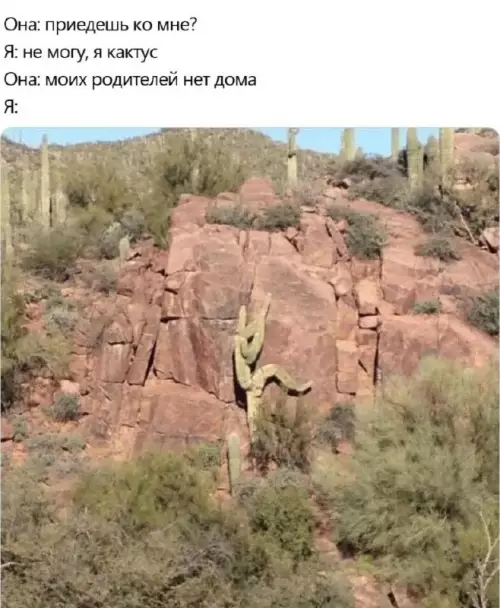 Смешная картинка №677385