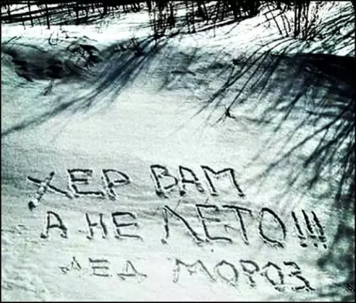 Смешная картинка №177883 Фото дня.