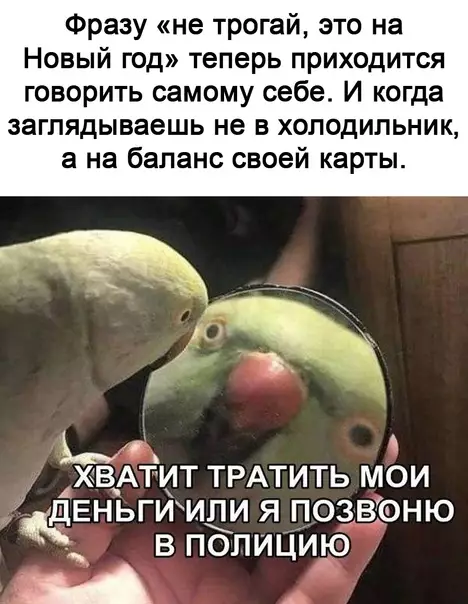 Смешная картинка №619789 Жизa