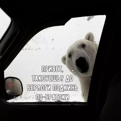 Смешная картинка №228290