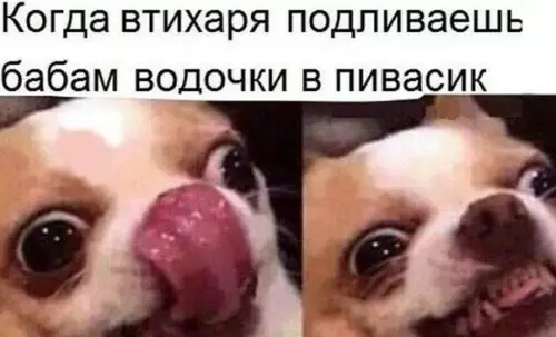 Смешная картинка №556521