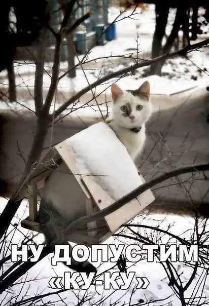 Смешная картинка №249348
