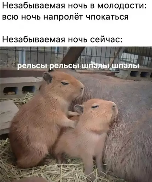 Смешная картинка №580611 Идeaльнo