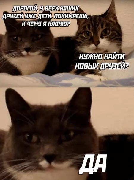 Смешная картинка №506655