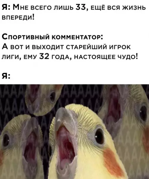 Смешная картинка №587931