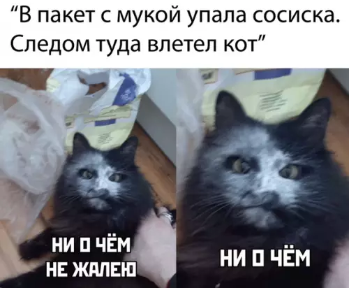 Смешная картинка №507506 Надеюсь, оно того стоило)))