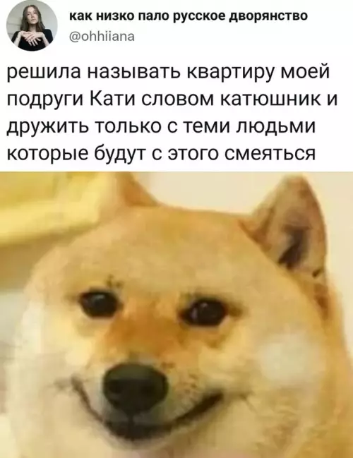 Смешная картинка №625481