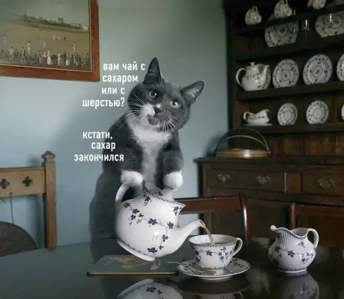 Смешная картинка №586013 Ладно, давайте с шерстью