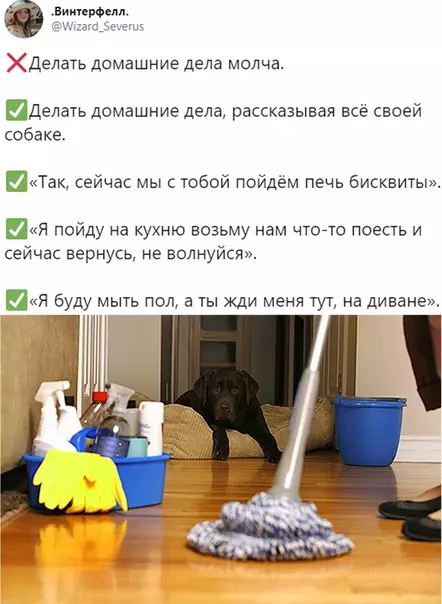 Смешная картинка №504406 Я с котом и без всяких домашних дел разговариваю