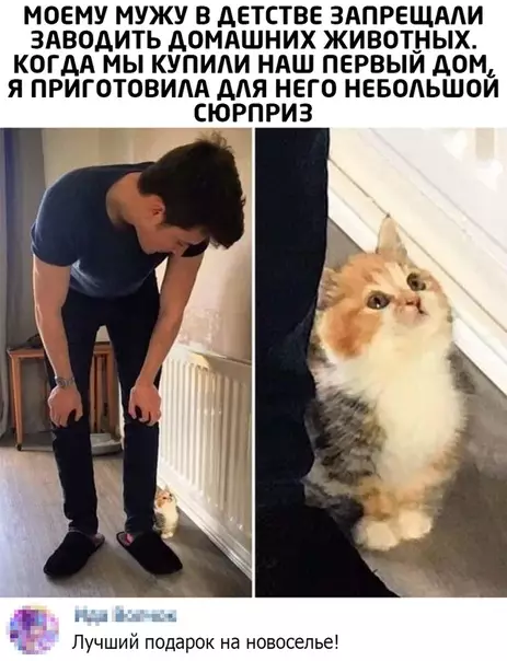 Смешная картинка №509550