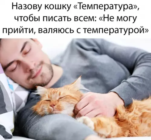 Смешная картинка №465858 Отличная идея, а собаку можно назвать лень, типа это я а лень