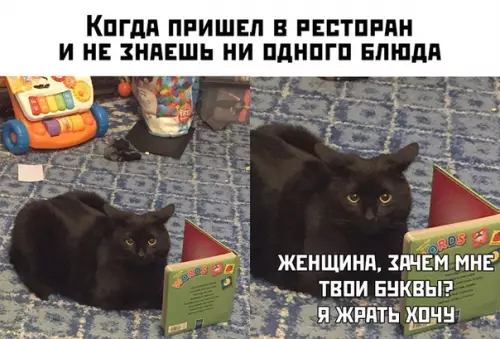 Смешная картинка №452155