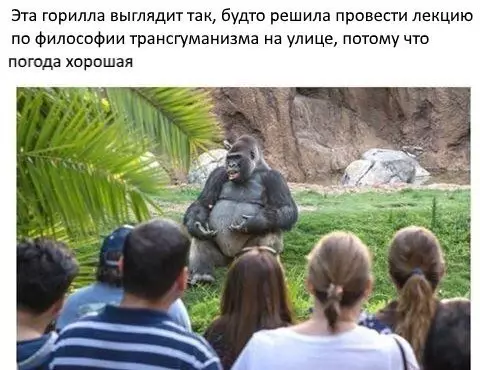 Смешная картинка №194845