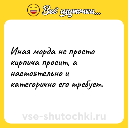 Шутка: Иная морда не просто кирпича просит, а настоятельно и категорично его требует.