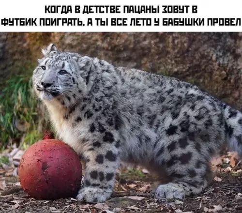 Смешная картинка №414597