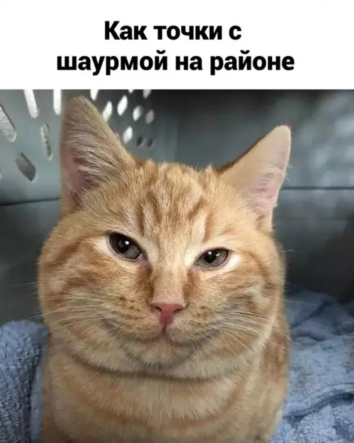 продолжение Смешная картинка №656533