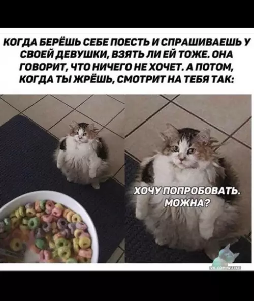Смешная картинка №339240