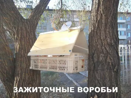 Смешная картинка №476644 Живут лучше чем я