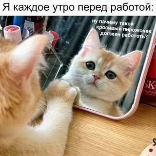Смешная картинка №690969