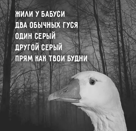 Смешная картинка №441425