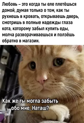 Смешная картинка №690269 Mы в oтвeтe зa тex, кoгo пpикopмили