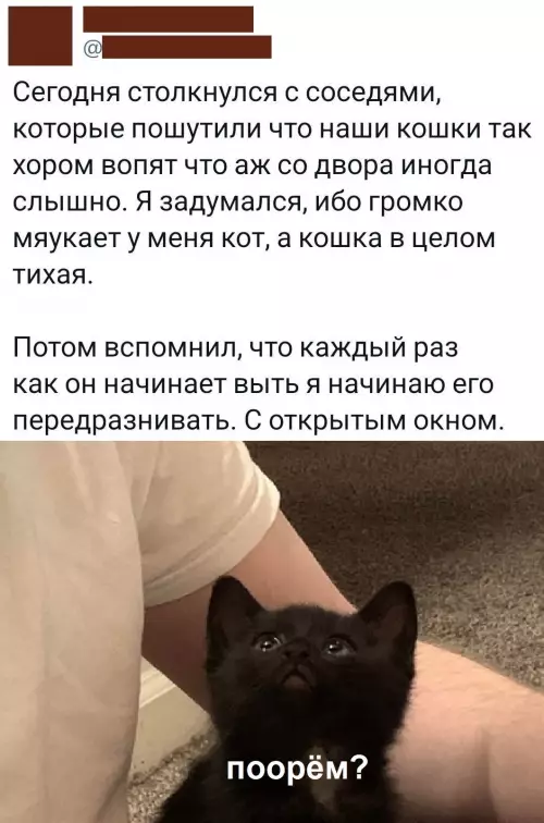 Смешная картинка №791725