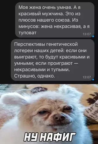 Смешная картинка №673364