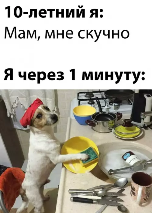 Смешная картинка №630025