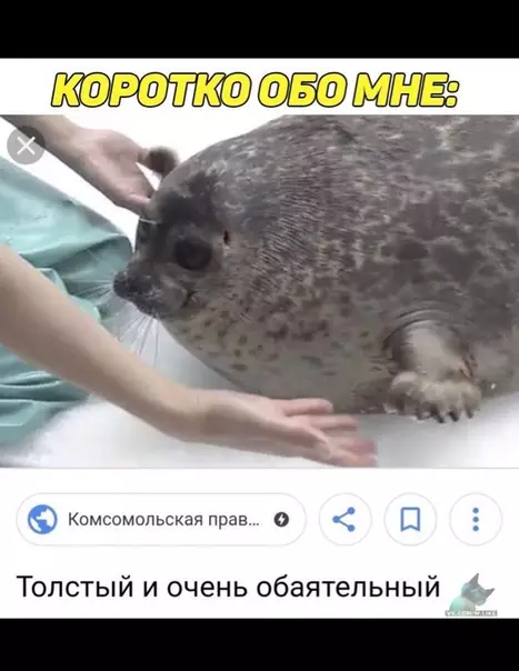 Смешная картинка №368588